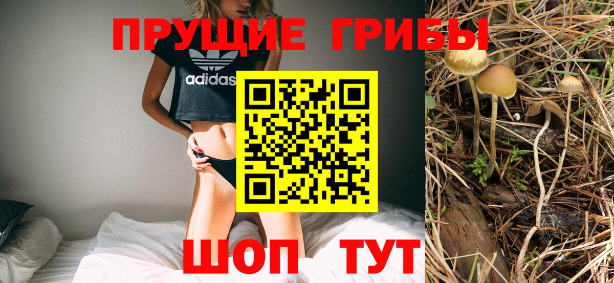 Галлюциногенные грибы Psilocybe  Галлюциногенные грибы Cubensis  Вход с VPN  Жигулёвск 