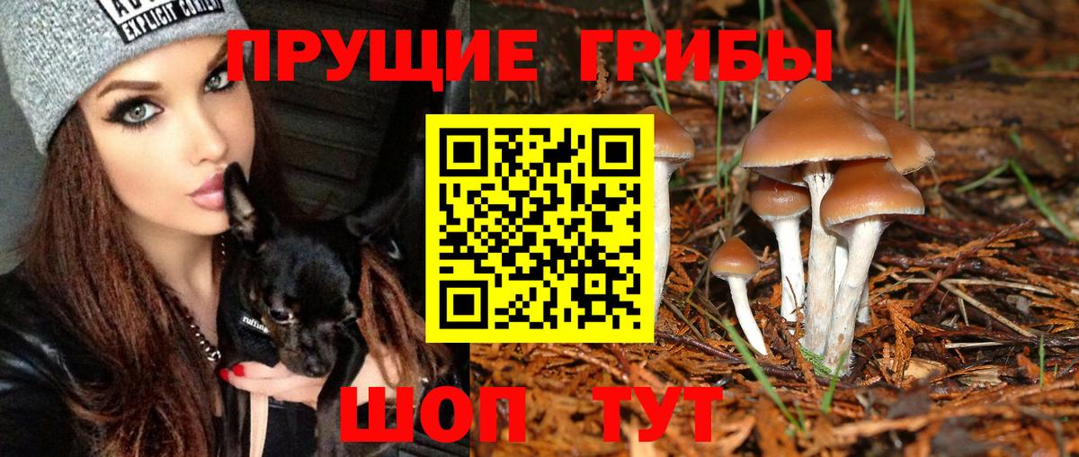Галлюциногенные грибы прущие грибы Жигулёвск